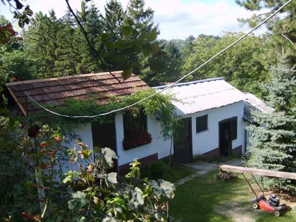 Sremska Kamenica | 4zida.rs