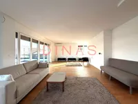 Novi Sad, Gradske lokacije, Telep | 4zida.rs | 4zida.rs