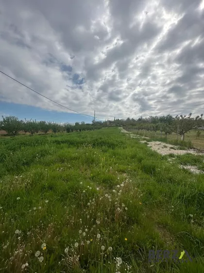 Čerević | 4zida.rs