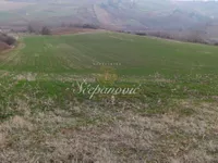 Bukovac, Gradske lokacije, Novi Sad | 4zida.rs