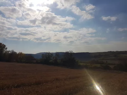 Čerević | 4zida.rs