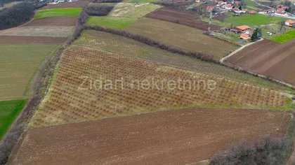 Belosavci | 4zida.rs