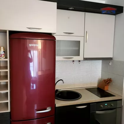 Salajka | 4zida.rs