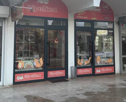 Vidovdanska 45 | 4zida.rs