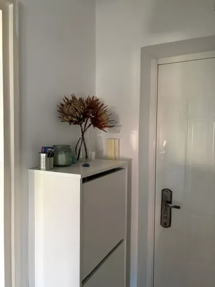 Stara Detelinara | 4zida.rs