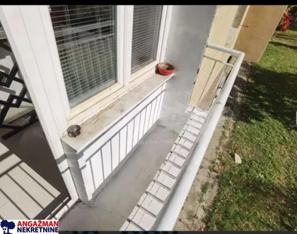 Radoja Dakića | 4zida.rs