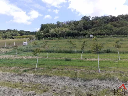 Čortanovci | 4zida.rs