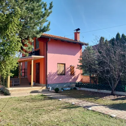 Mihajla Pupina | 4zida.rs