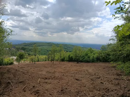 Sedmog Jula | 4zida.rs