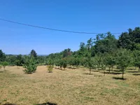 Plac | 4zida