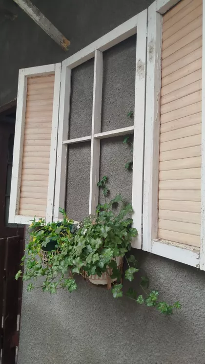 Bešenovački Prnjavor | 4zida.rs