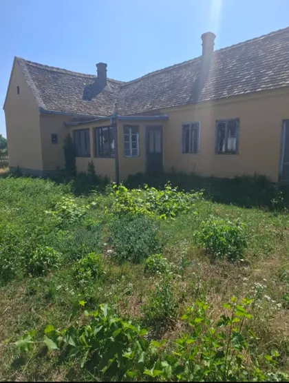 Glušci | 4zida.rs