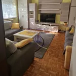 Novi Sad, Gradske lokacije, Avijatičarsko Naselje | 4zida.rs | 4zida.rs