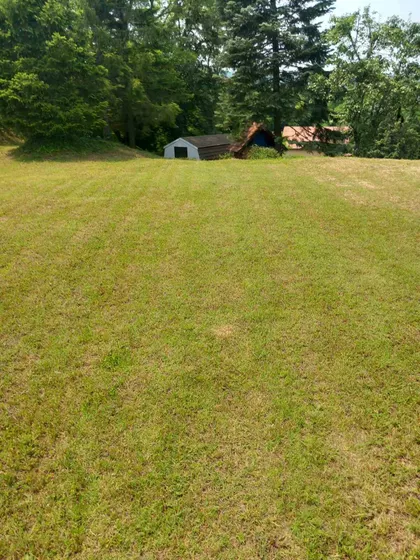 Alibegovac | 4zida.rs