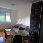 Novi Sad, Gradske lokacije, Telep | 4zida.rs | 4zida.rs