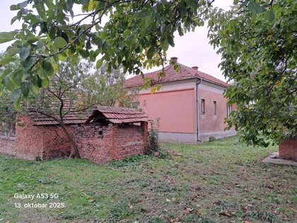 Živka Pavlovića | 4zida.rs