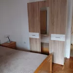 Detelinara, Gradske lokacije, Novi Sad | 4zida.rs | 4zida.rs