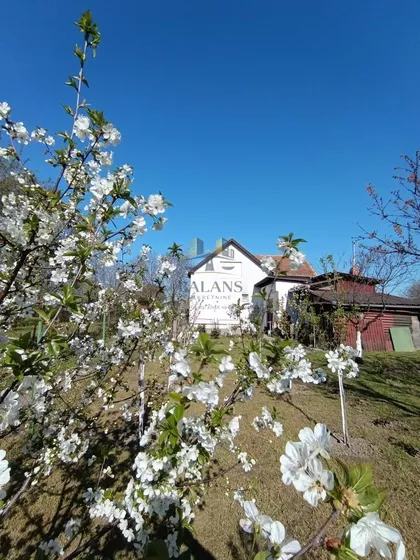 Stari Banovci | 4zida.rs