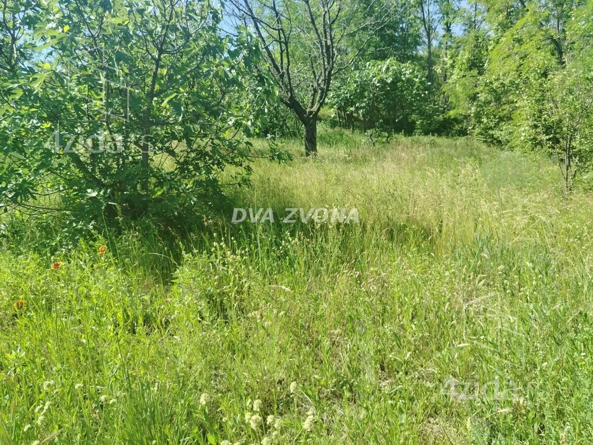 Plac | 4zida