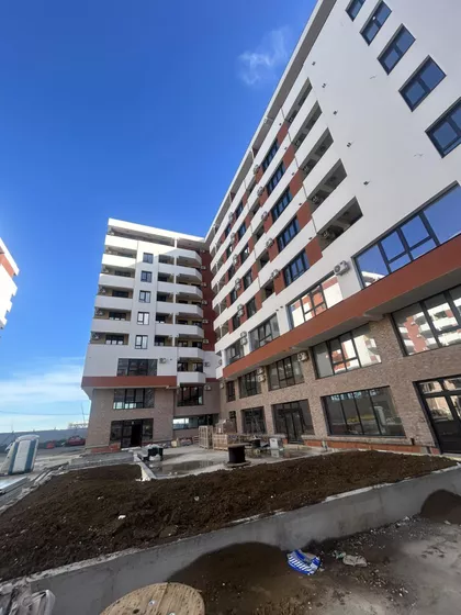 Miodraga Vlajića Šuke | 4zida.rs