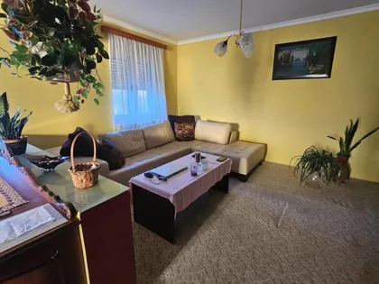 Mali Radanovac | 4zida.rs