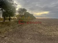 Novo Selo, Gradske lokacije, Subotica | 4zida.rs