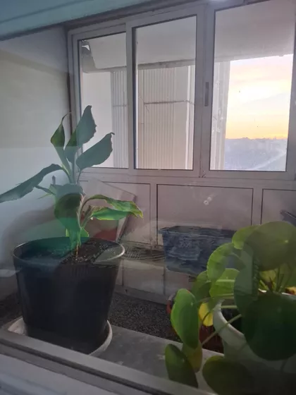 Gradske lokacije | 4zida.rs