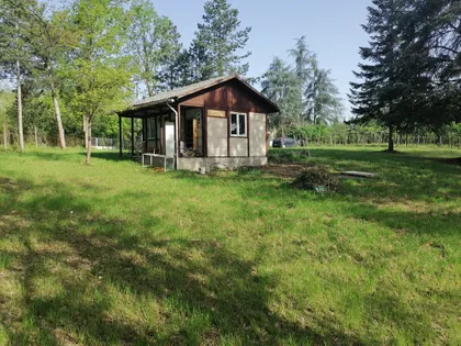 Veliki Borak | 4zida.rs