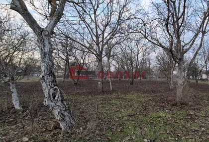 Palić | 4zida.rs