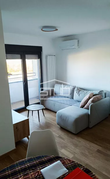 Dragoslava Srejovića