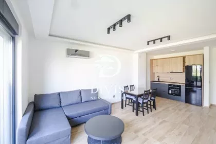 Paštrovićeva | 4zida.rs