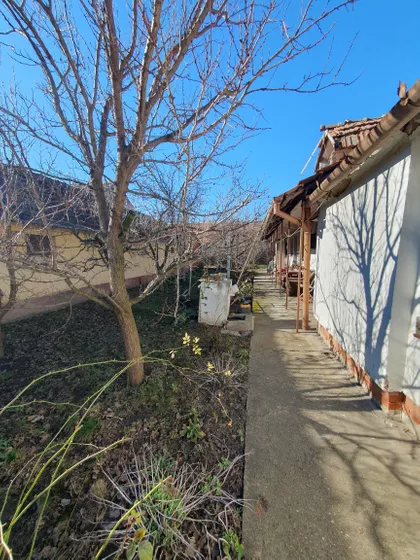 Bačka 57 | 4zida.rs