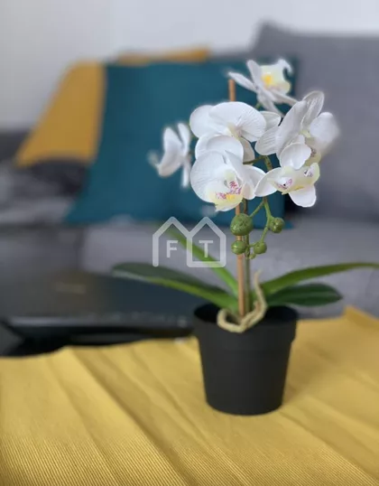 Majke Jevrosime | 4zida.rs