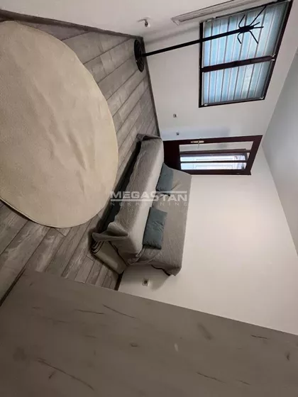 Sibinjanin Janka | 4zida.rs