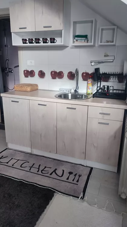 Zivojina Lazica | 4zida.rs