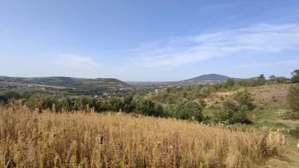 Put Za Milovanoviće Erčani | 4zida.rs