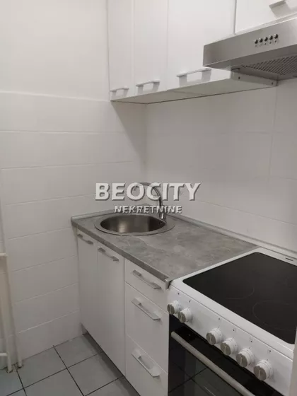 Petra Drapšina | 4zida.rs