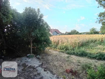 Raševica | 4zida.rs