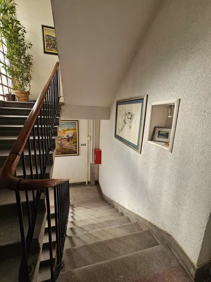 Svetozara Markovića | 4zida.rs