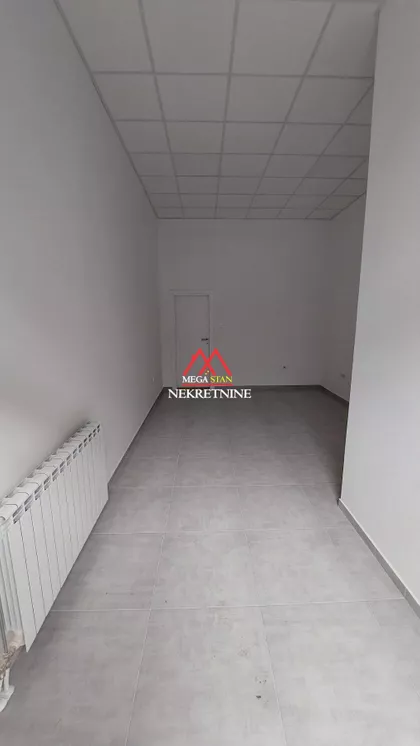 Pavla Papa | 4zida.rs