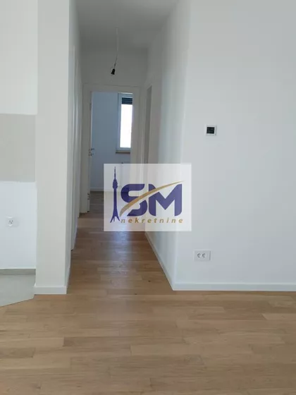 Petra Drapšina | 4zida.rs