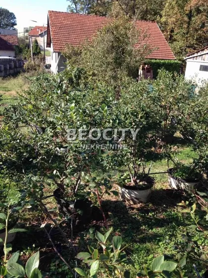 Miljakovačke staze | 4zida.rs