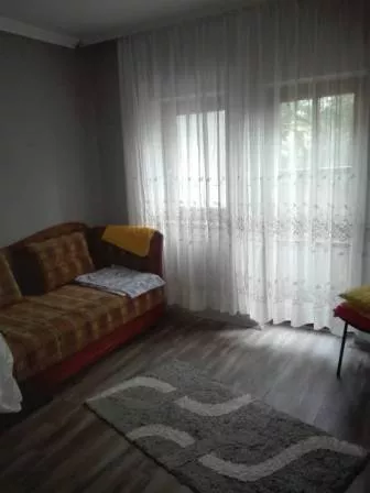 Brane Petrovica | 4zida.rs