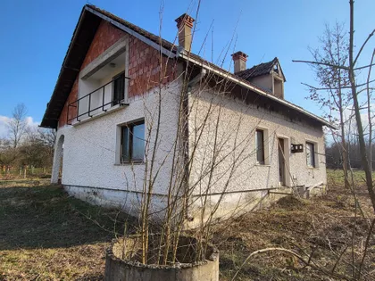 Ksenije Atanasijević | 4zida.rs