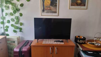 Triše Kaclerovića | 4zida.rs