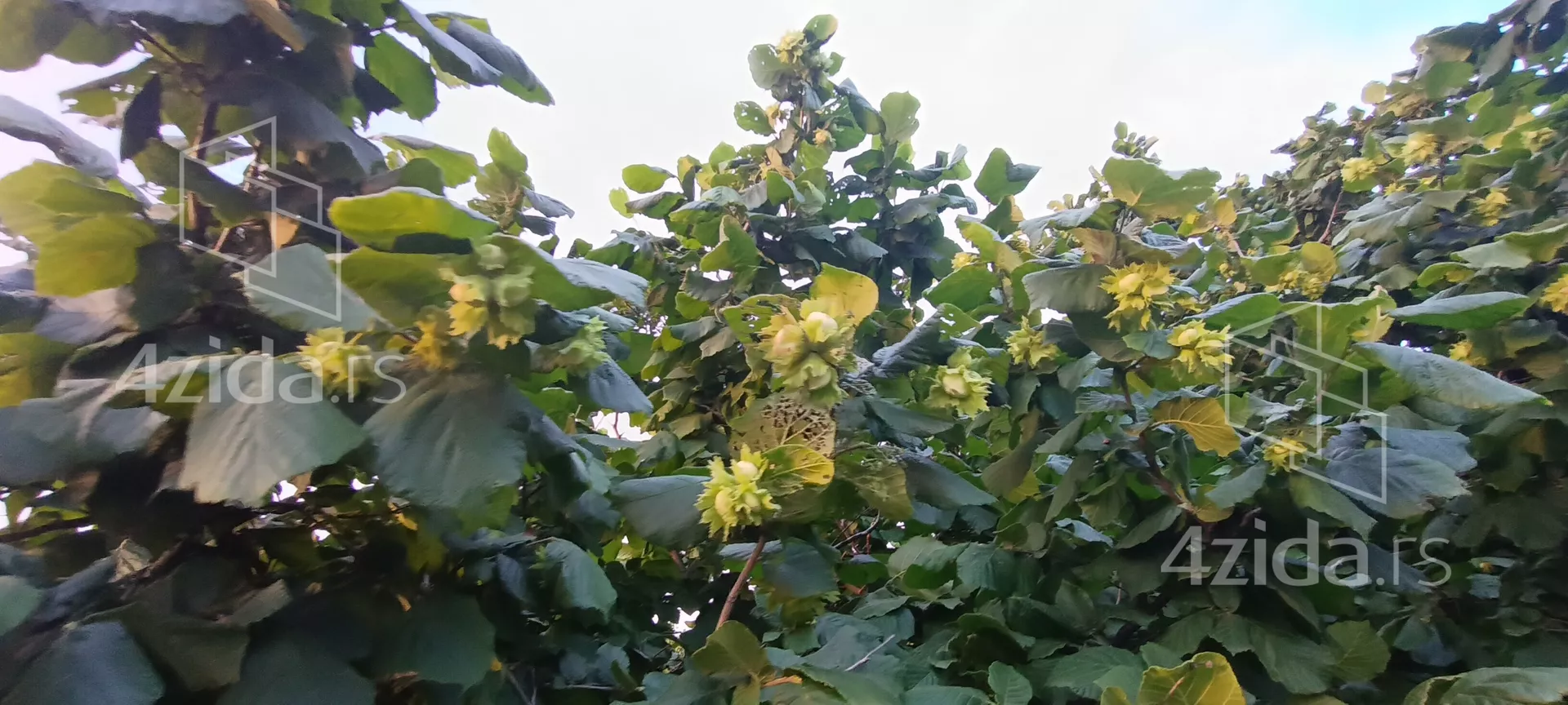 Poljoprivredno zemljište | 4zida