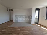 Telep, Gradske lokacije, Novi Sad | 4zida.rs