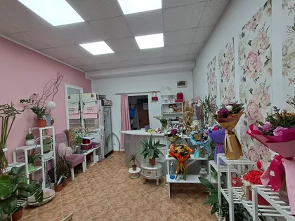 Kisačka | 4zida.rs