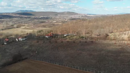 Božurnja | 4zida.rs