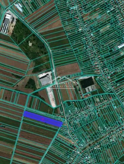 Dobanovci | 4zida.rs